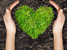 logo2 GYJ integracion